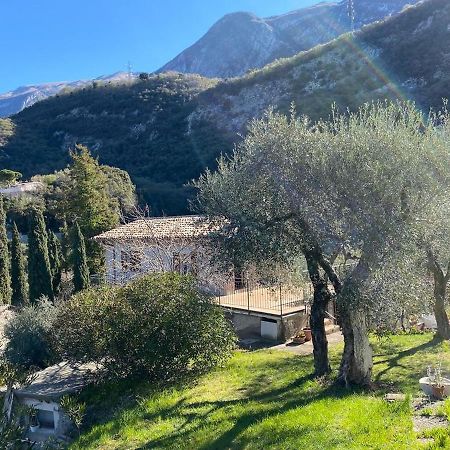 Appartamento Olive Grove House Malcesine Esterno foto