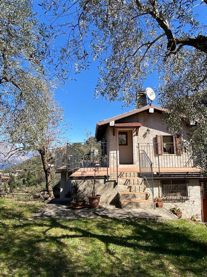Appartamento Olive Grove House Malcesine Esterno foto