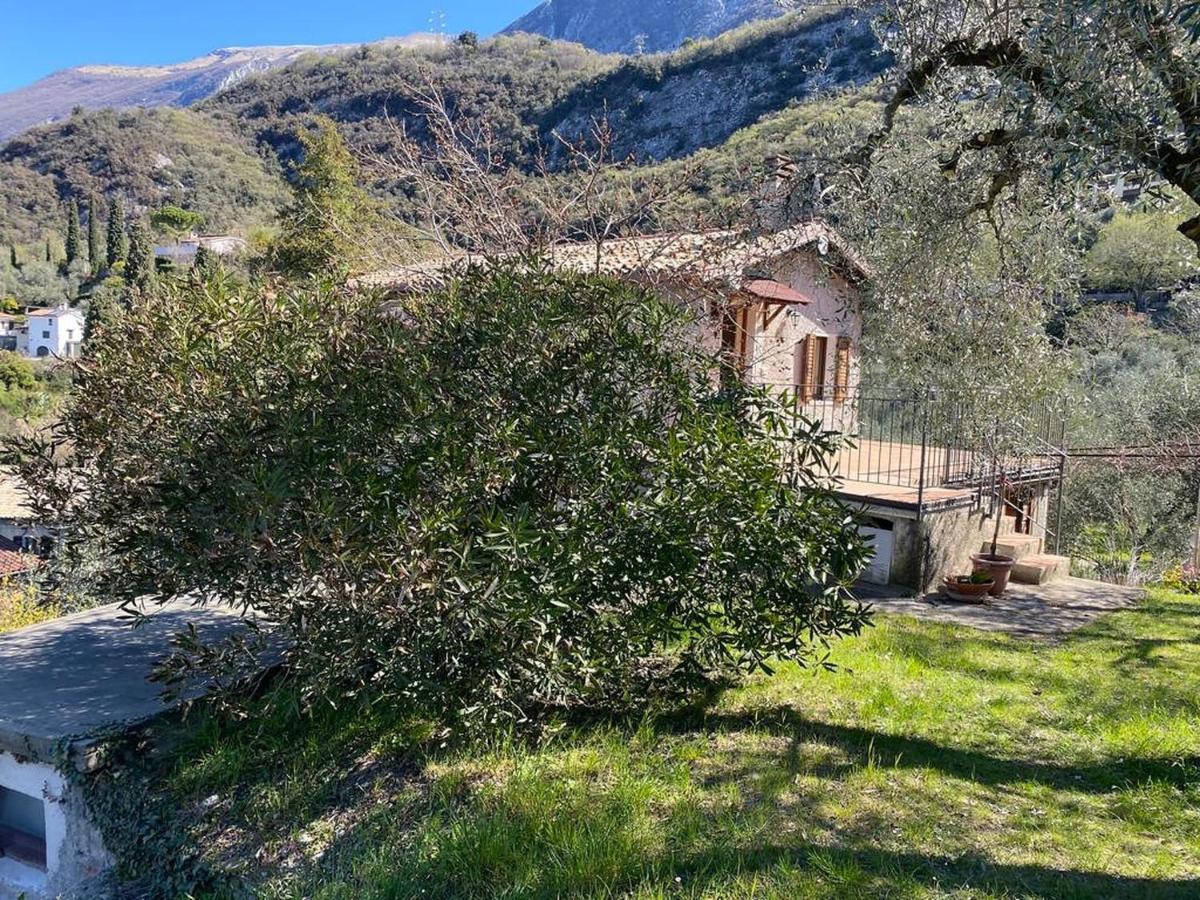 Appartamento Olive Grove House Malcesine Esterno foto