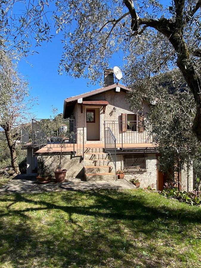 Appartamento Olive Grove House Malcesine Esterno foto