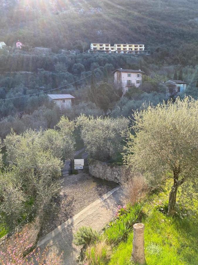 Appartamento Olive Grove House Malcesine Esterno foto