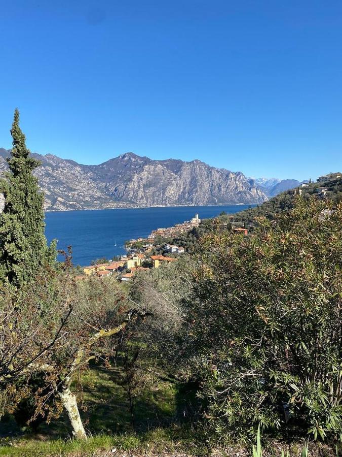 Appartamento Olive Grove House Malcesine Esterno foto